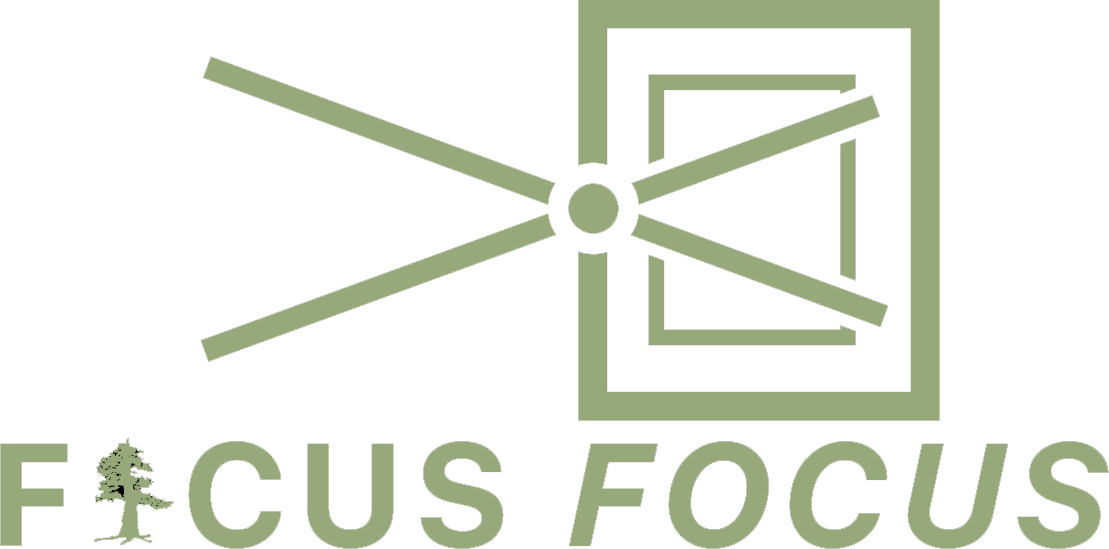 Ficus Focus