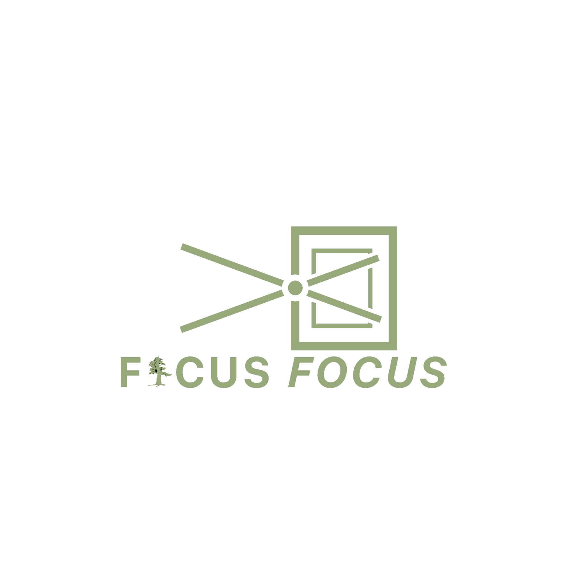 Ficus Focus